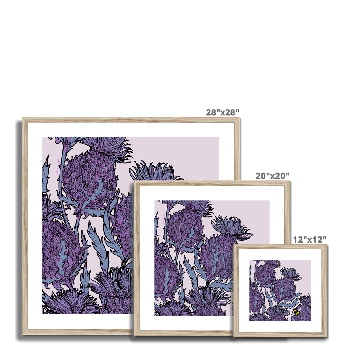 Lilac Thistles Framed & Mounted Print