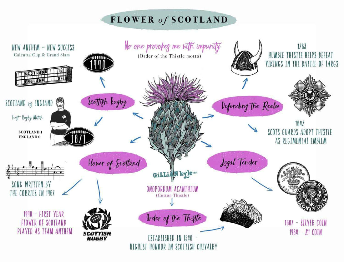 9 Fascinating Facts about the Flower of Scotland