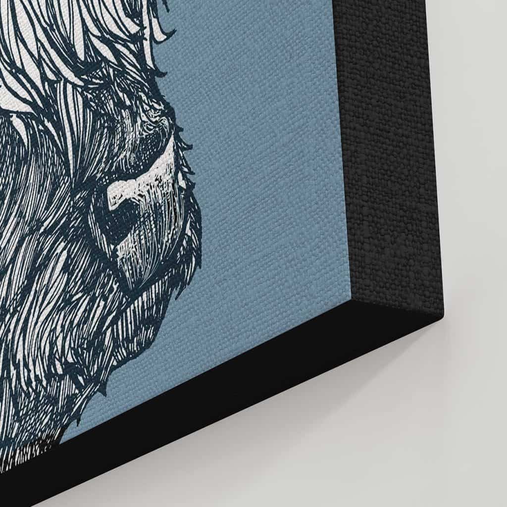 Highland coos