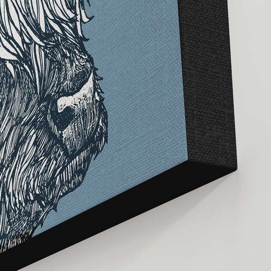 Highland coos
