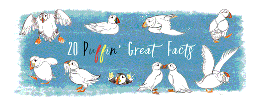 20 Interesting Facts about Puffins