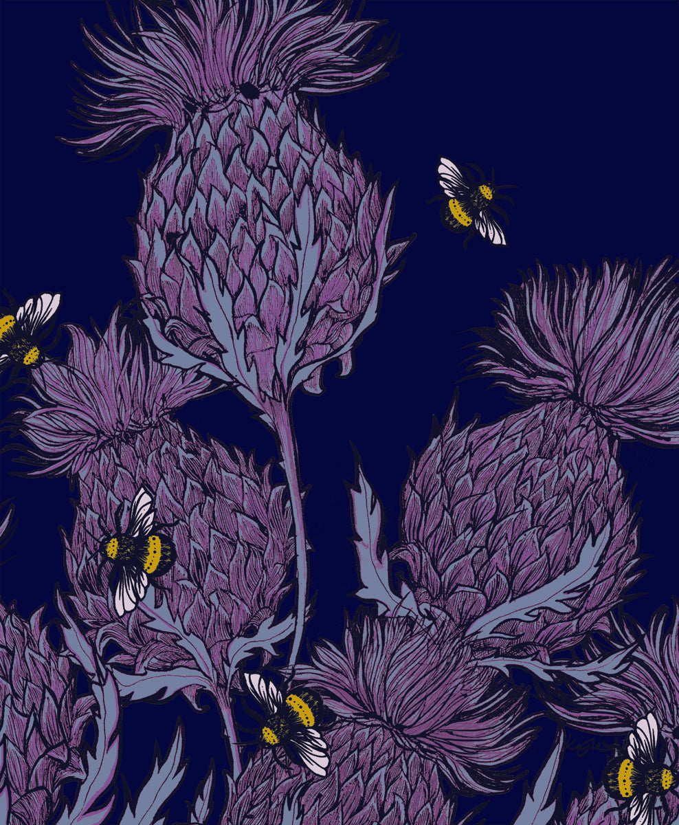 Midnight Thistle