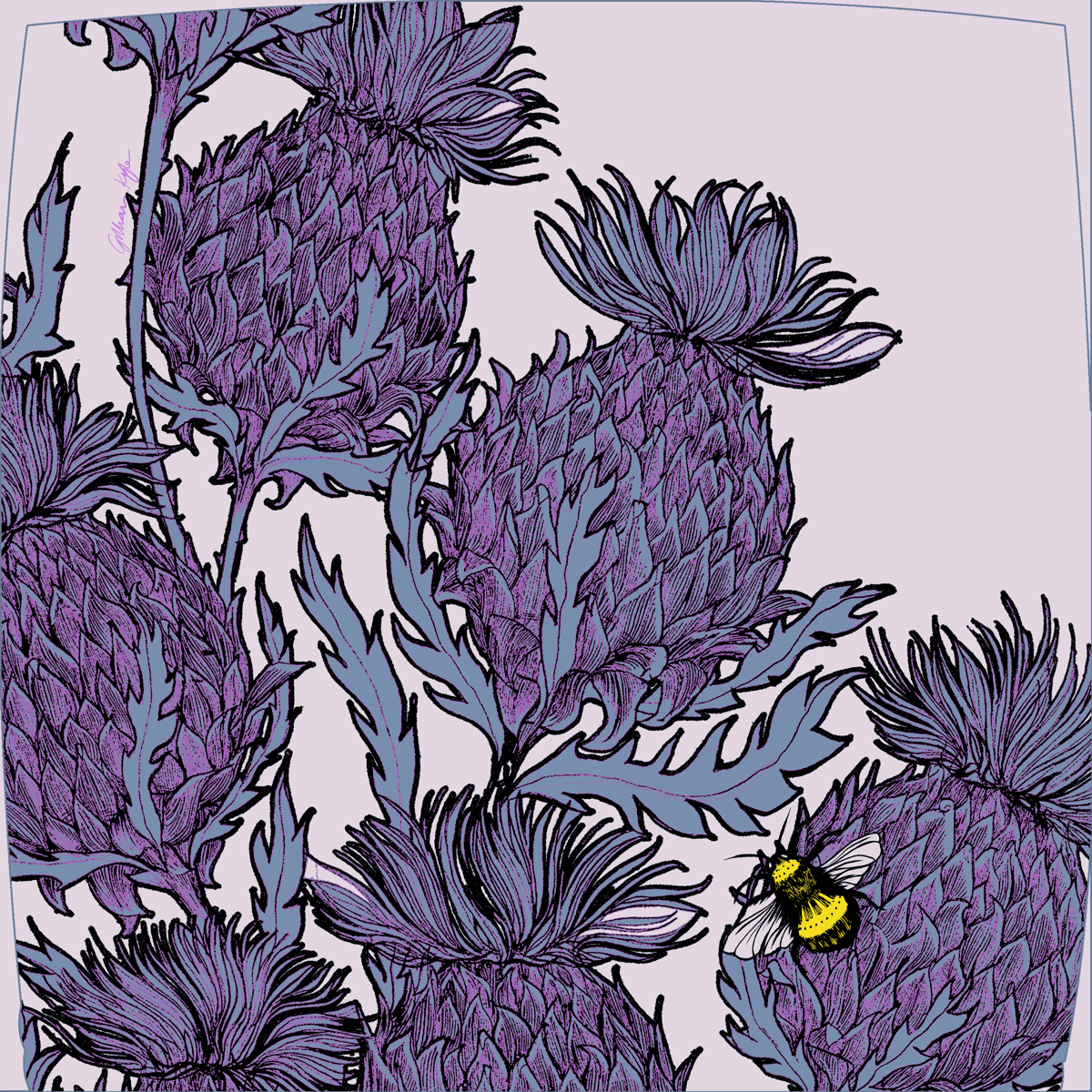 Lilac Thistles