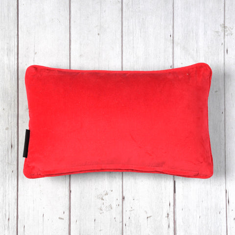 Perfectly Scottish Needlepoint Cushion