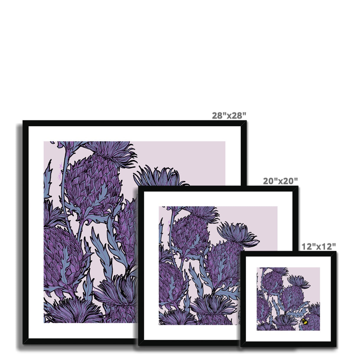 Lilac Thistles Framed & Mounted Print