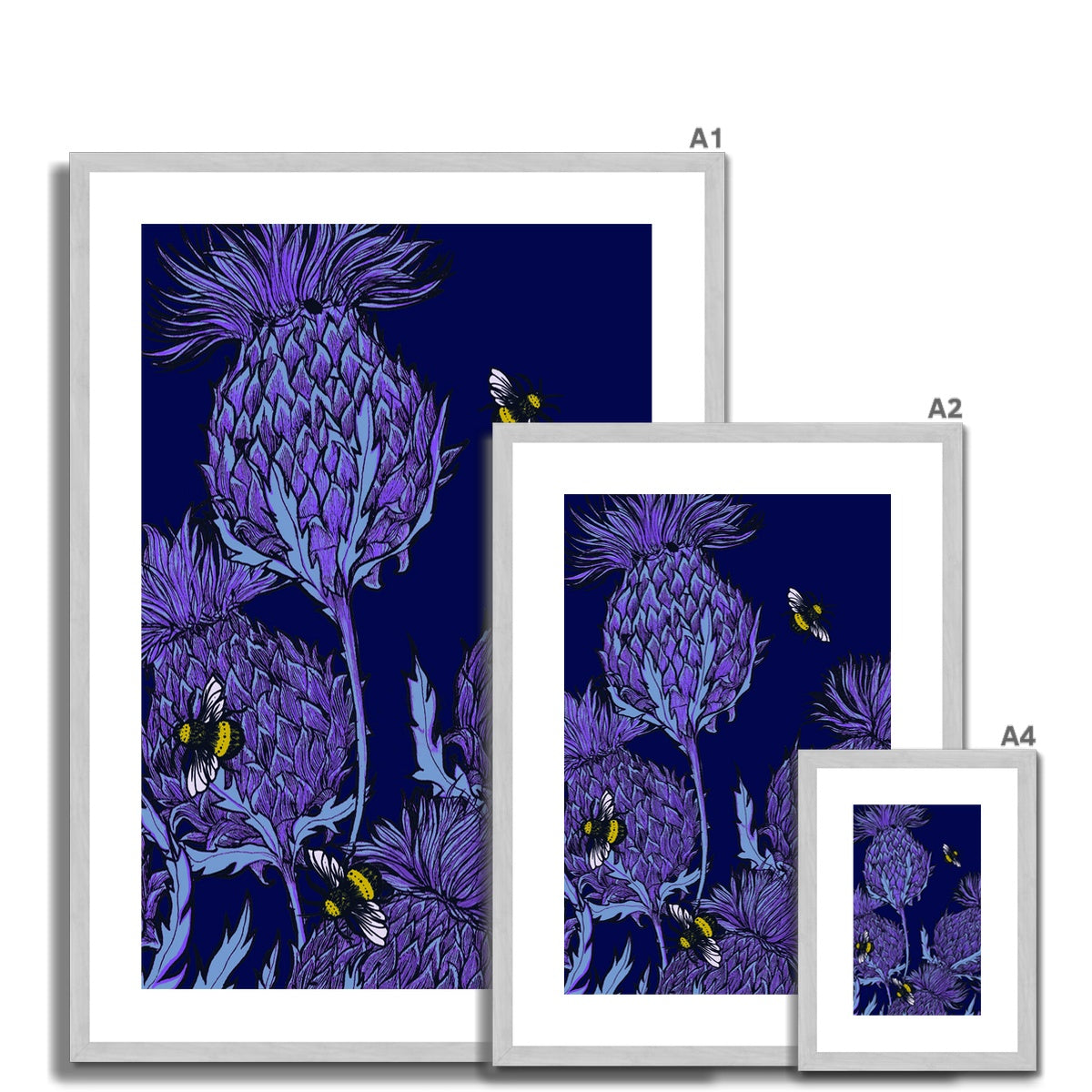 Midnight Thistle Antique Framed & Mounted Print