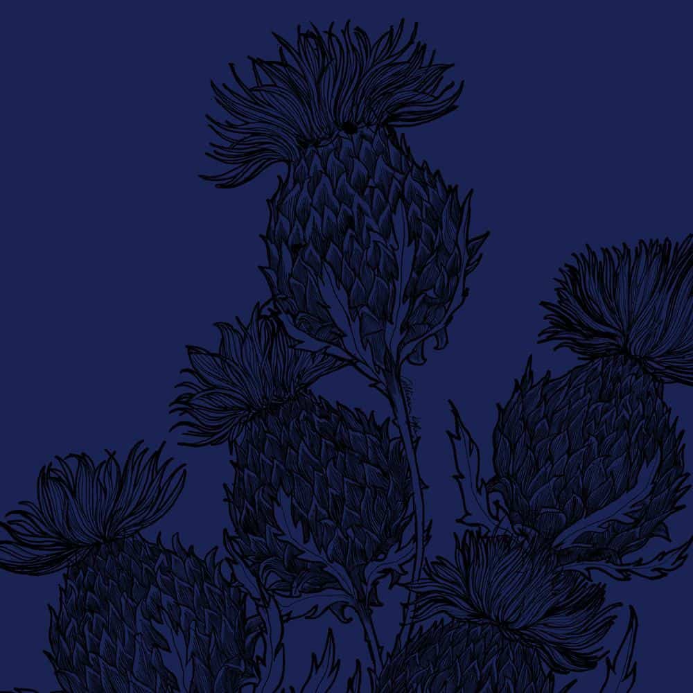 gillian-kyle-black-thistle-case-midnight-print-detail
