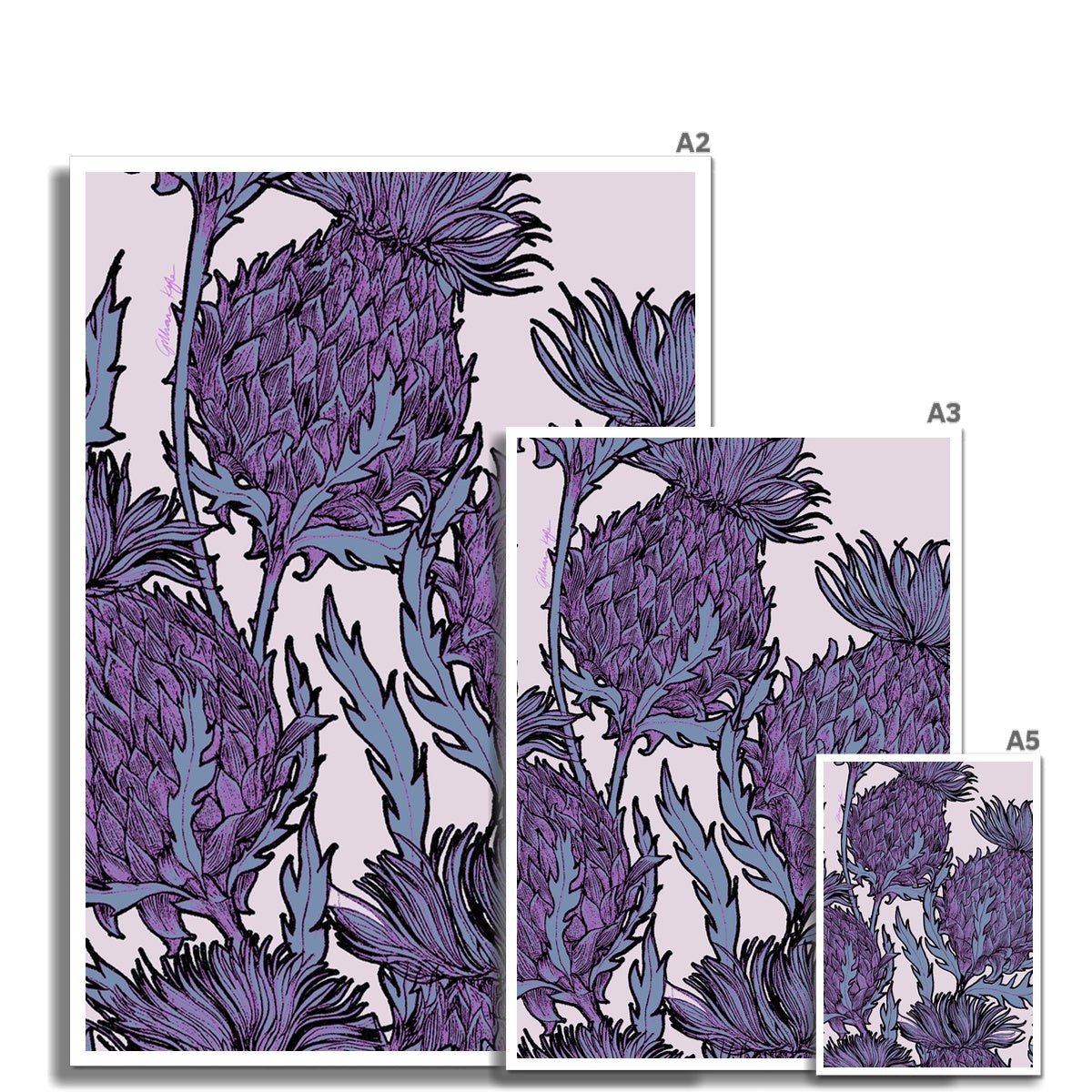 Lilac Thistles Fine Art Print