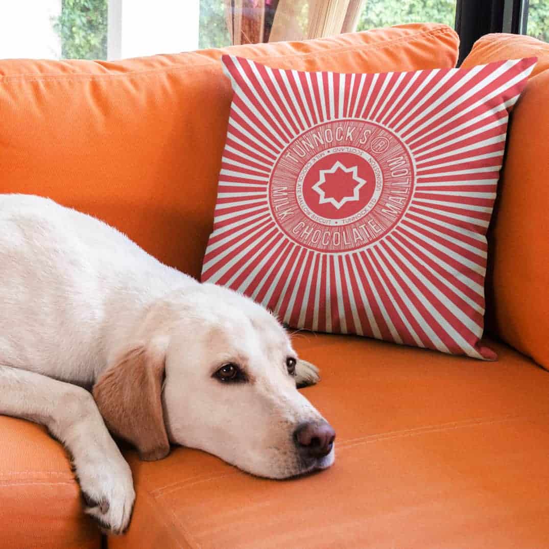 Tea Cake Rapper Officially licensed Tunnock's Tea Cake Wrapper Cushion by Gillian Kyle ...